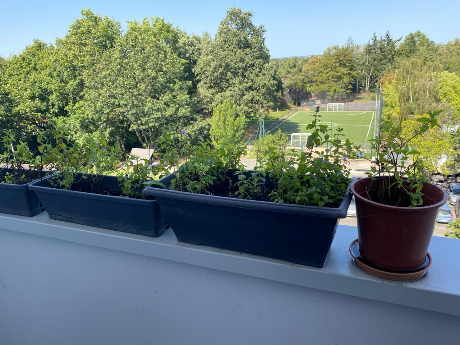 Chambre privée chez l'habitant dans un appartement T3 Rennes Esterno foto